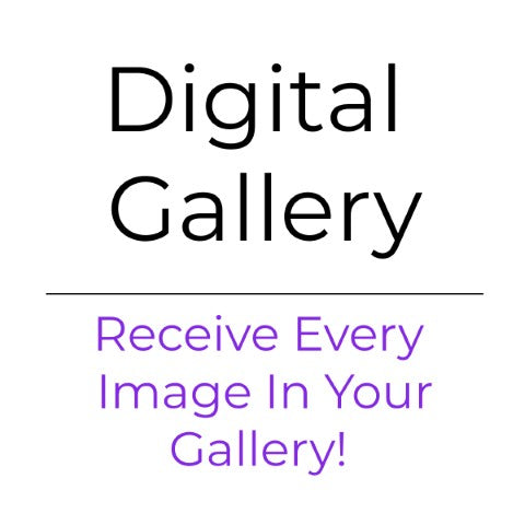 Digital Gallery